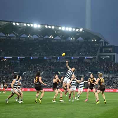 Cats end Hawthorn's win streak with big home triumph