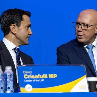 LNP vows 'adult crime, adult time' for young offenders