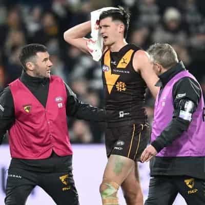 Season over for Hawthorn forward Lewis after ACL tear