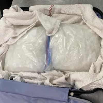 Airport sniffer dog detects meth haul worth millions