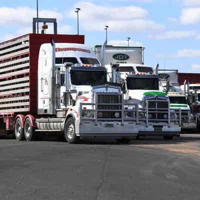 Truckie shortage 'crisis' to hurt strained supply chain