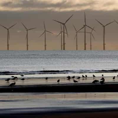 Energy minister in legal stoush over offshore wind farm