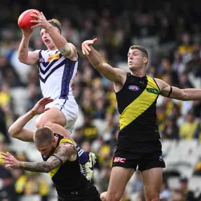 Fremantle's alpha male Treacy ready to hit Hawks hard