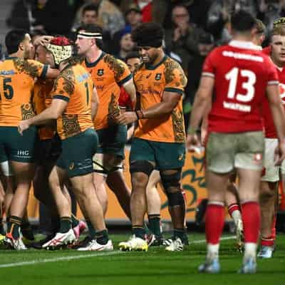 Wallabies pip Wales to extend Schmidt's winning start