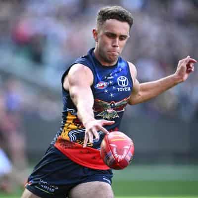 Sholl prominent as Adelaide sink St Kilda in AFL slog