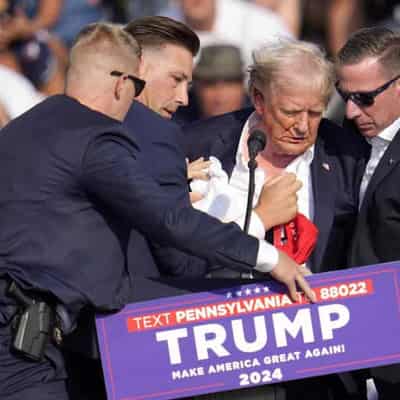 Trump hit, crowd member killed in shooting at rally