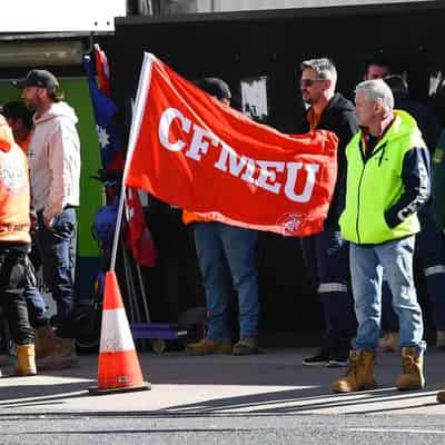 Qld freezes talks with union as Vic allegations unfold