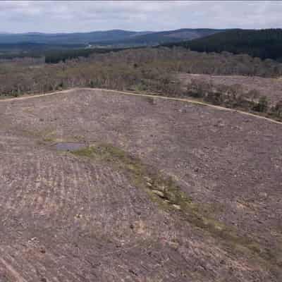 NSW government reveals plans to fix broken nature laws