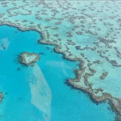 Clearing rates down but Barrier Reef needs more help