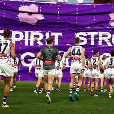 AFL team's crappy flight home after toilet trouble