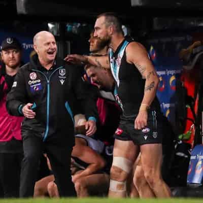 I picked a fight with Dixon, says Port Adelaide coach