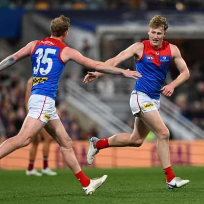 No one would have won us the hitouts: Demons coach