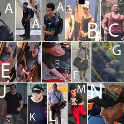 Police hunt alleged transport thugs bashing passengers