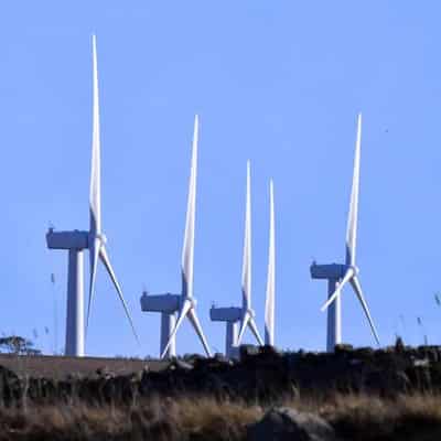 Farmers charged up over renewable energy projects