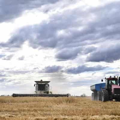 Farmers roundly welcome weedkiller court decision