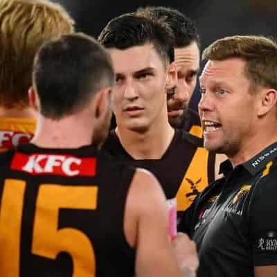 Sam Mitchell keeps lid on 'Showbiz Hawks' hype