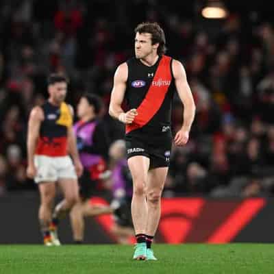 Essendon want response after 'brutal' loss