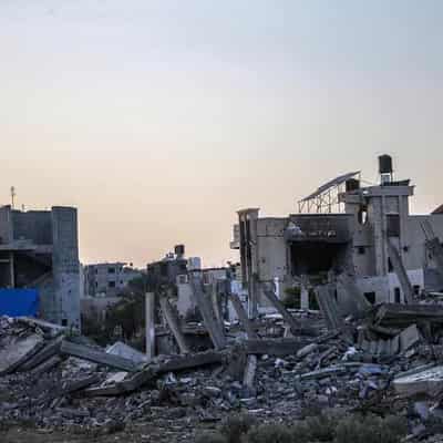 Australia, Canada and NZ urge immediate Gaza ceasefire