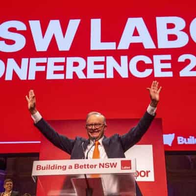 NSW Labor demands government recognises Palestine state