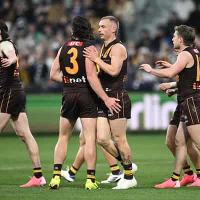 'Confronting' talks sparked Hawks' revival: Worpel