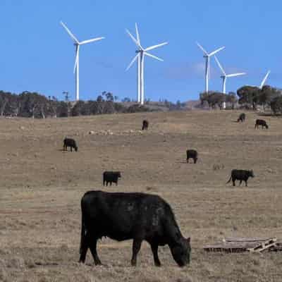 Giant wind farm that fanned protests gets green light