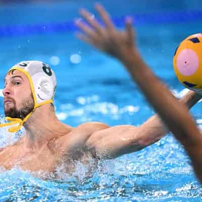 Spain prove too strong for Sharks in men's water polo