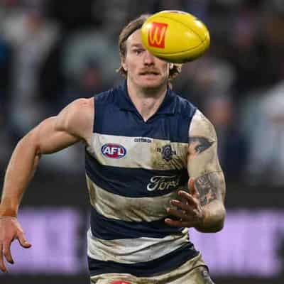 Cats midfield move puts pep in Stewart's step