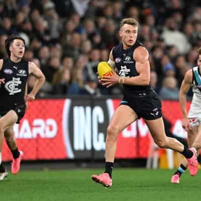 Walsh believes Blues superstar Cripps can get better