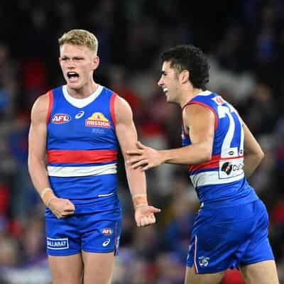 Dogs star Treloar goes into 250th in career-best form