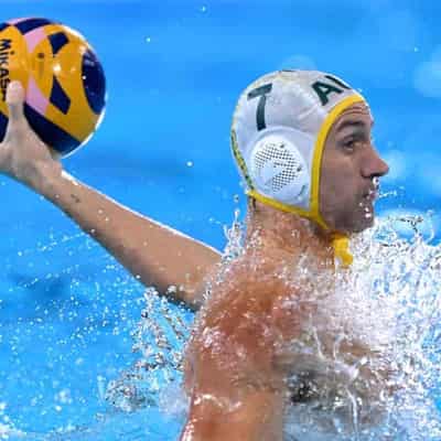 Aussie Sharks devour champs in water polo sensation