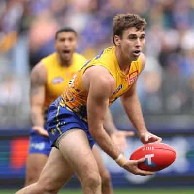 Cripps hopeful Eagles rebuild pain won't last too long