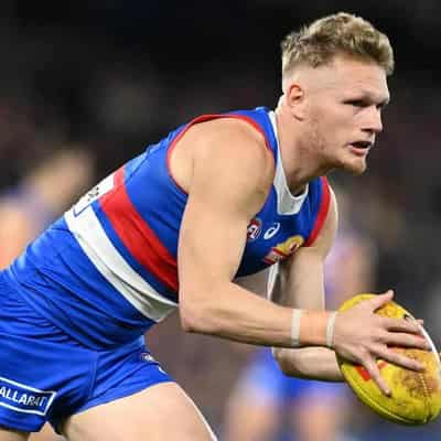 Dogs coach lauds 'rounded' milestone man Adam Treloar