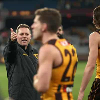 Mitchell's young Hawks up for Giant learning curve