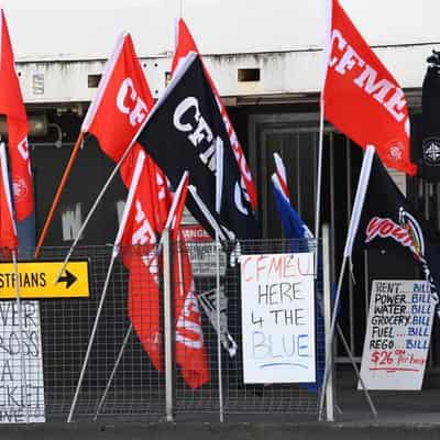 CFMEU seeks legal advice over administrator orders