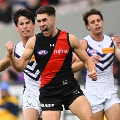 Bombers beat Dockers to keep AFL season alive