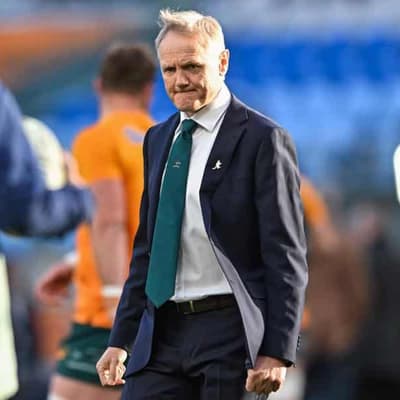 Schmidt wants Wallabies to rise to Springbok challenge