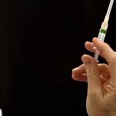 No, bird flu virus not injected into all flu vaccines