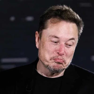 Musk's Trump search ban claim misleads