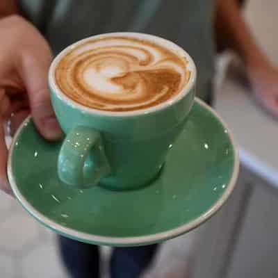 Cracking coffee code may lead to new Australian brew