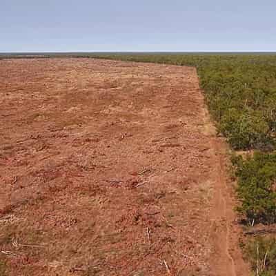 Scientists despair as farmers clear nature hot spot