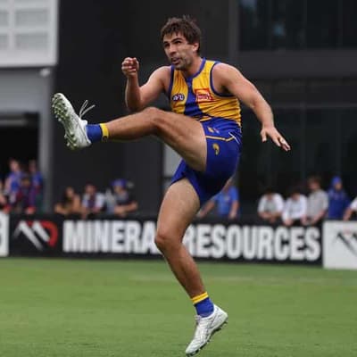 Eagles to give retiring Andrew Gaff two farewell games