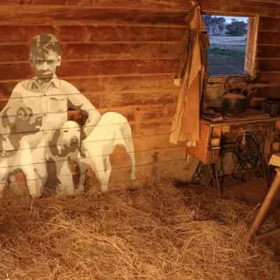 Murals on an empty farm house helped a family's grief