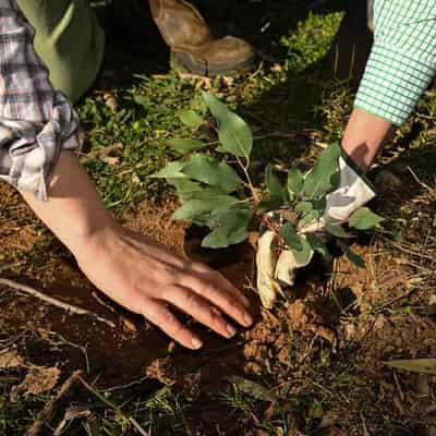 All prams blazing: farmer mums find new joy in landcare