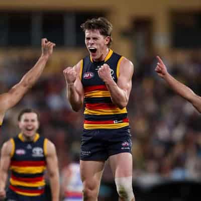 Darcy Fogarty kicks five as Crows stun Bulldogs