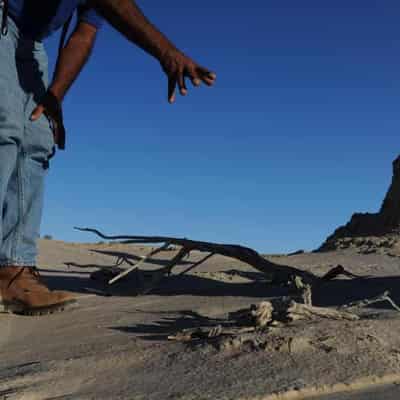 Indigenous knowledge priority for science and research