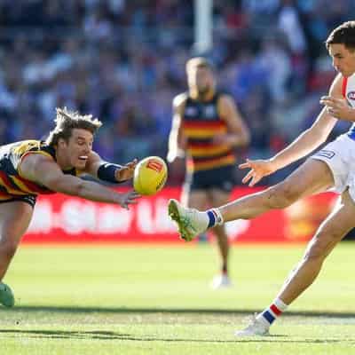 Bulldogs young gun Darcy backed to fix wonky radar