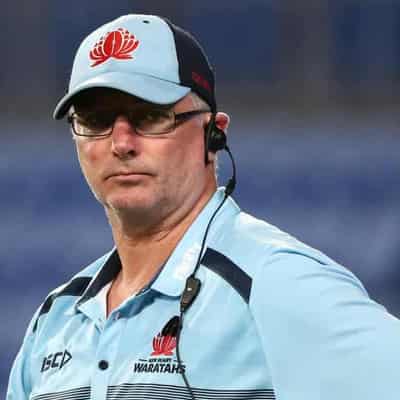 Shute Shield's Wildfires sign ex-Waratahs coach Coleman