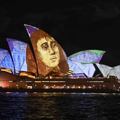 Vivid festival allure dims with big drop in visitors