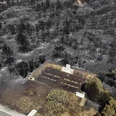 Turkey faces wildfires amid fears for Anzac war graves