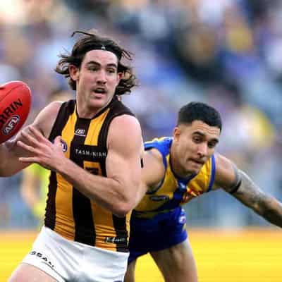 Hunted Hawks thriving as AFL finals carrot looms large